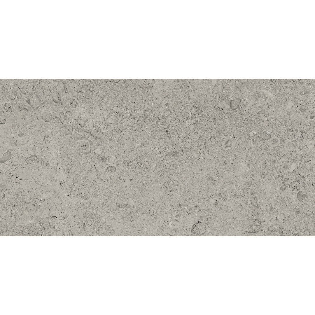 Tesoro Shellstone 12" x 24" Rectified Matte Porcelain Tile