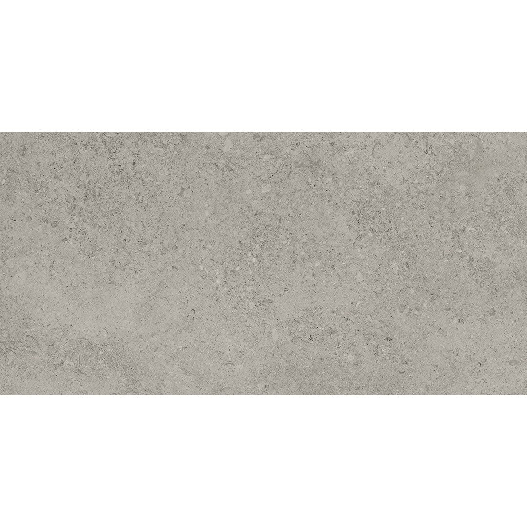 Tesoro Shellstone 24" x 48" Rectified Matte Porcelain Tile