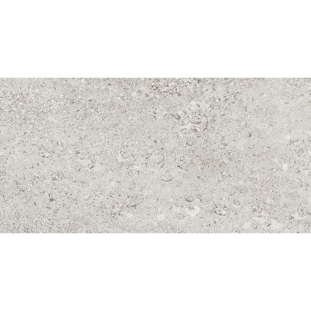 Tesoro Shellstone 12" x 24" Rectified Matte Porcelain Tile