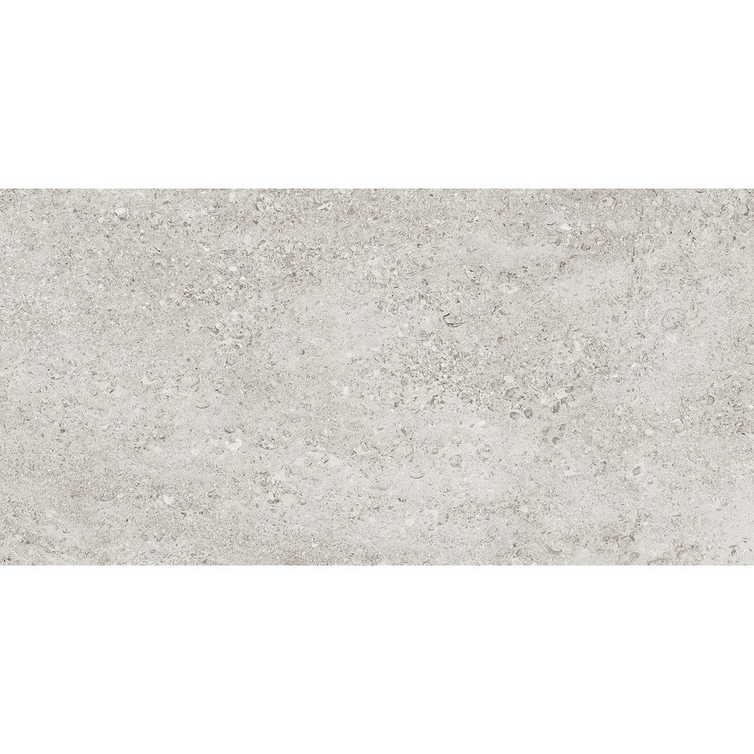 Tesoro Shellstone 24" x 48" Rectified Matte Porcelain Tile