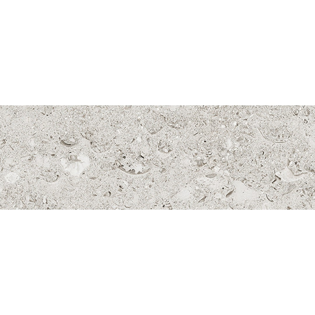 Tesoro Shellstone 4" x 12" Rectified Matte Porcelain Tile