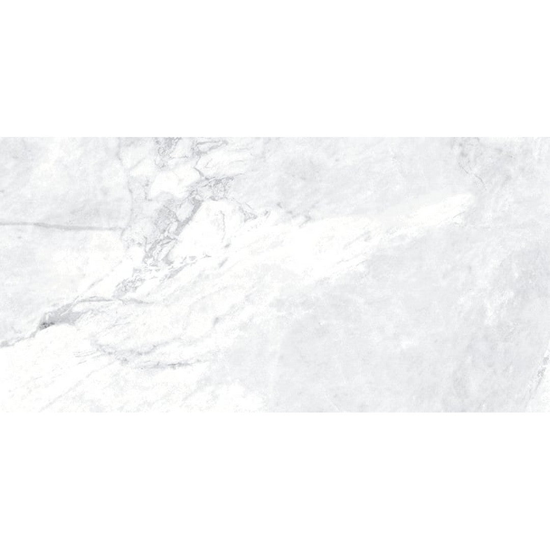 Milestone Classica 12" x 24" Matte Porcelain Tile