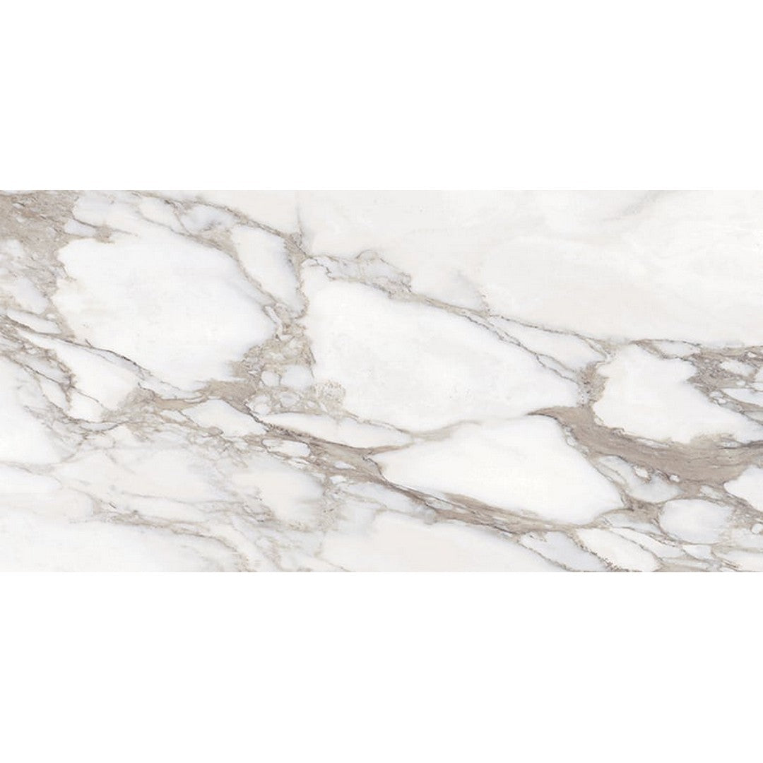 Milestone Classica 12" x 24" Matte Porcelain Tile