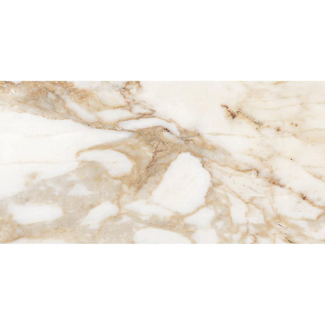 Milestone Classica 12" x 24" Matte Porcelain Tile