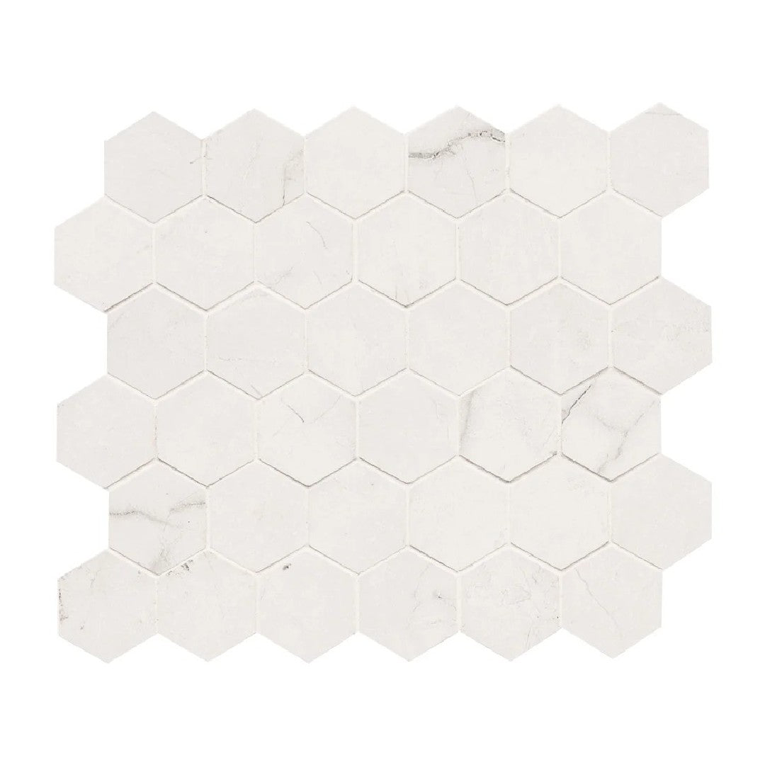 MS International Brighton 12" x 12" Polished 2" Hexagon Porcelain Mosaic