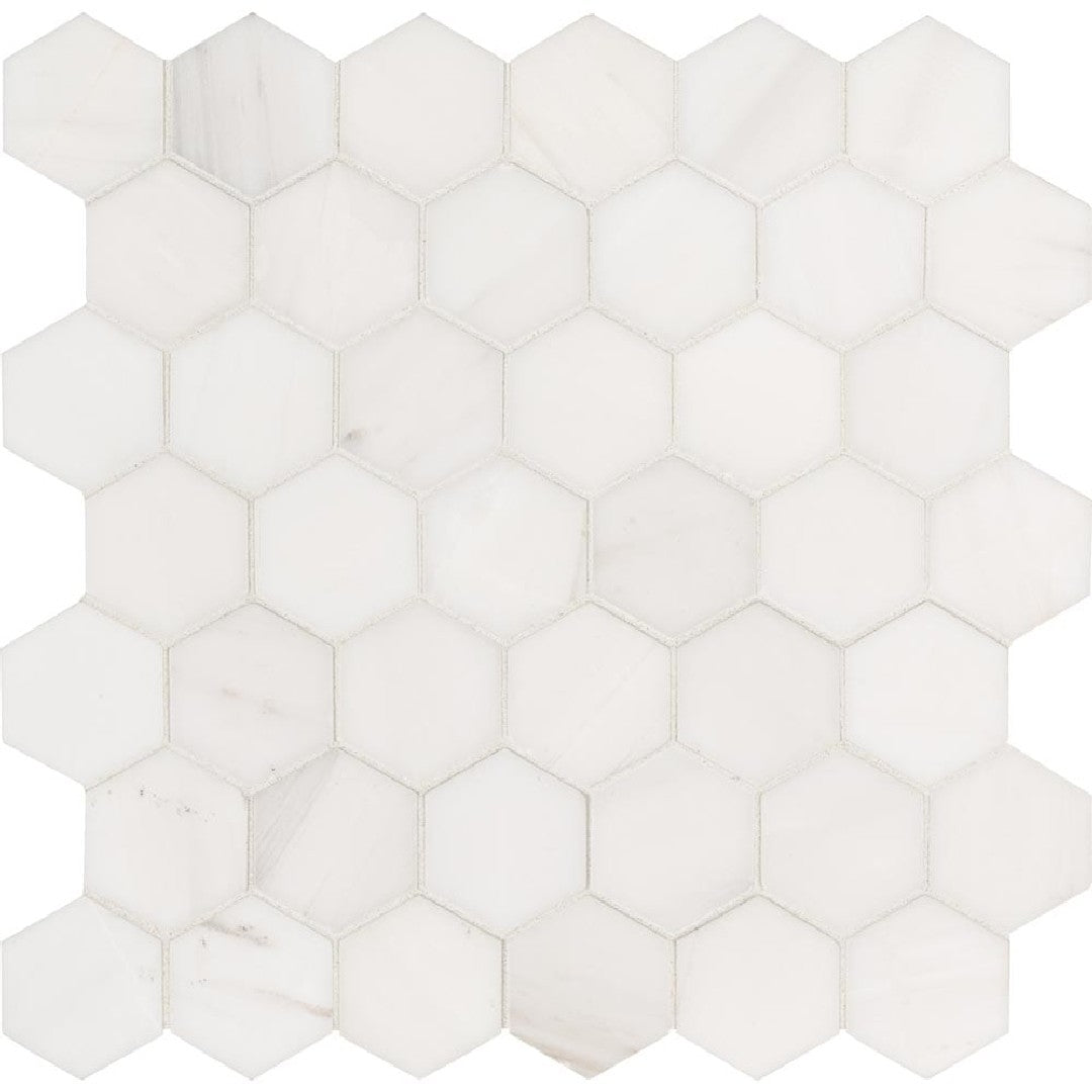 MS International Bianco Dolomite 12" x 12" Polished Hexagon 2" Marble Mosaic
