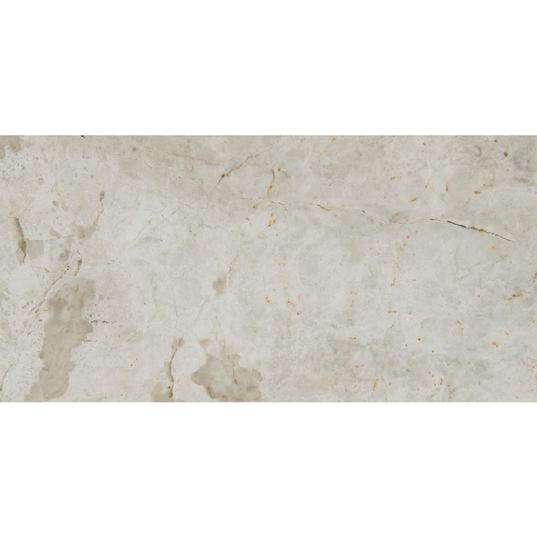 MS International Tundra Gray 12" x 24" Polished Marble Tile