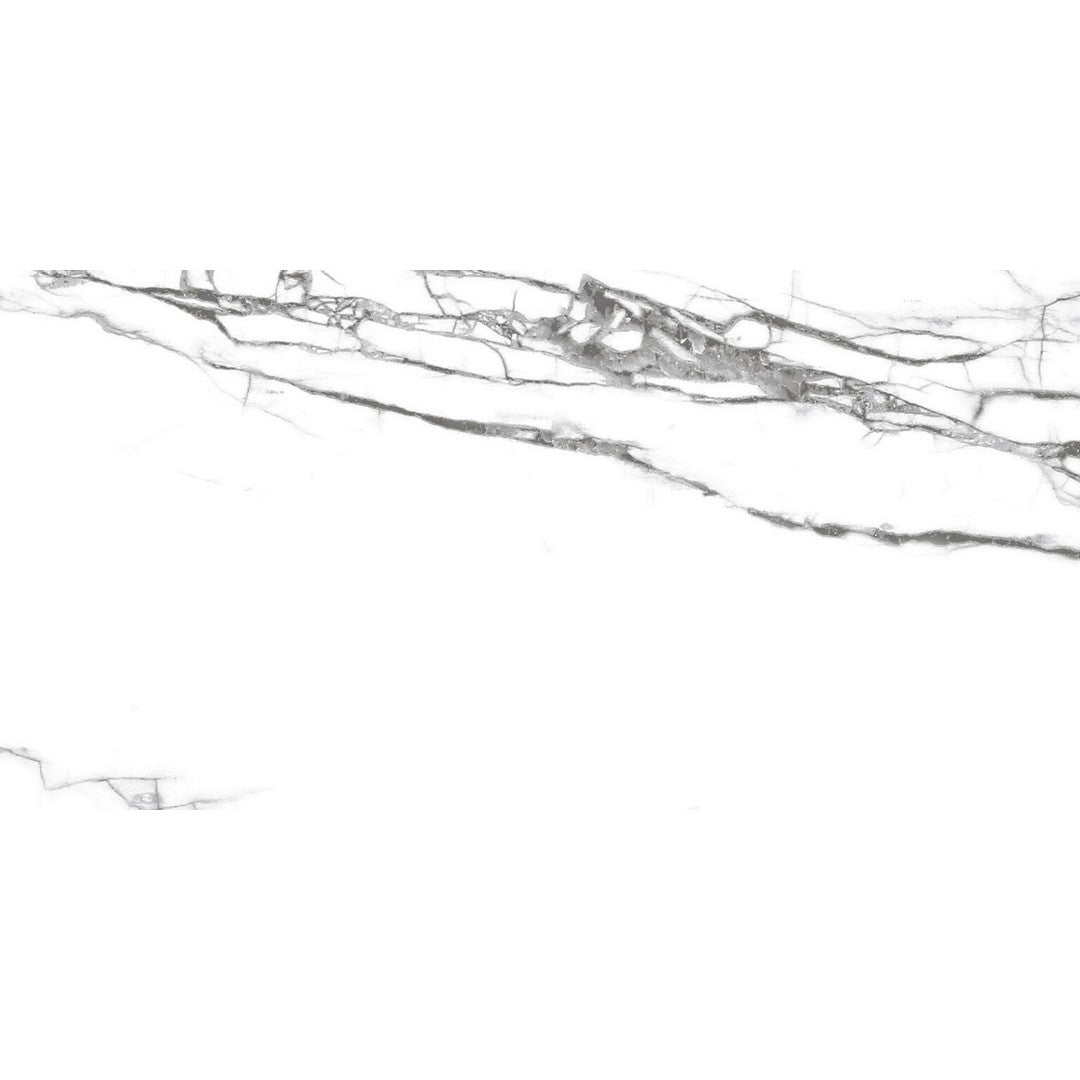 Tesoro Dendric 12" x 24" Rectified Matte Porcelain Tile