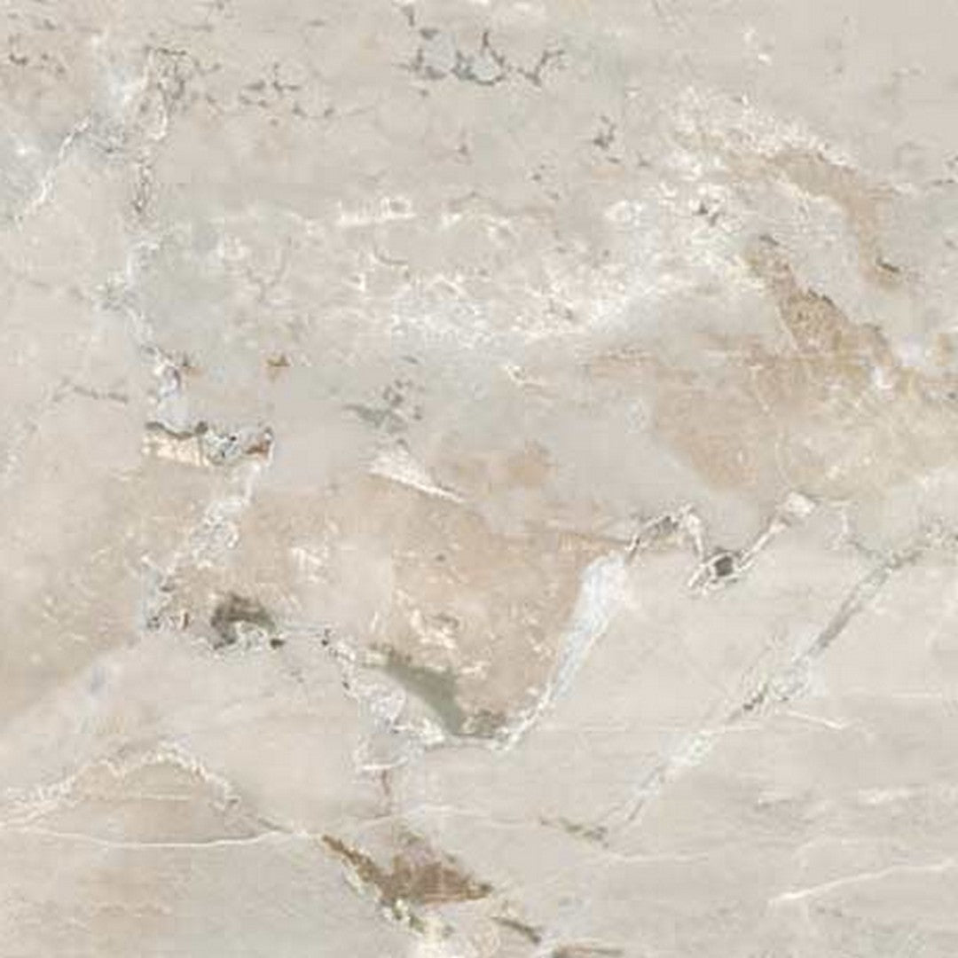 Floors 2000 Marbles 24" x 24" Pressed Matte Porcelain Tile