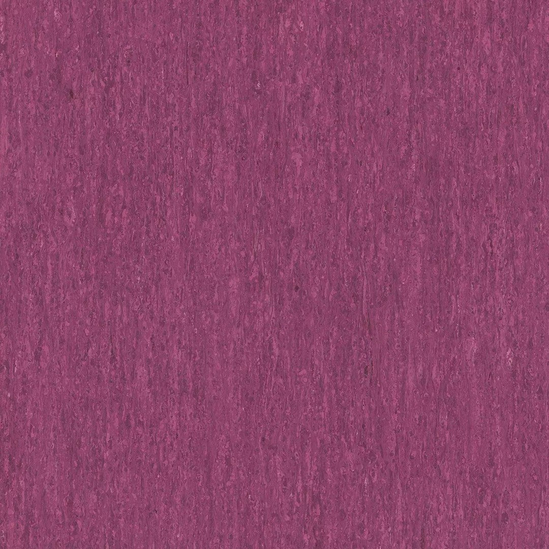 Tarkett iQ Optima 24" x 24" Homogeneous Vinyl Tile 2mil