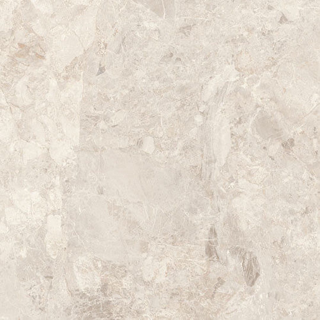 Happy Floors Mun 24" x 48" Rectified Matte Porcelain Tile
