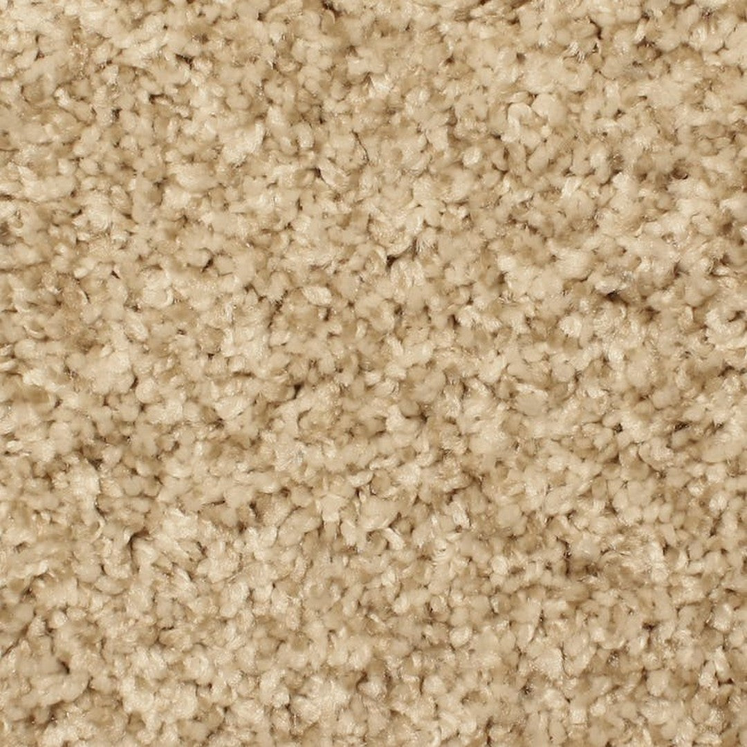 Phenix Microban Aurora 12' Polyester Carpet Tile