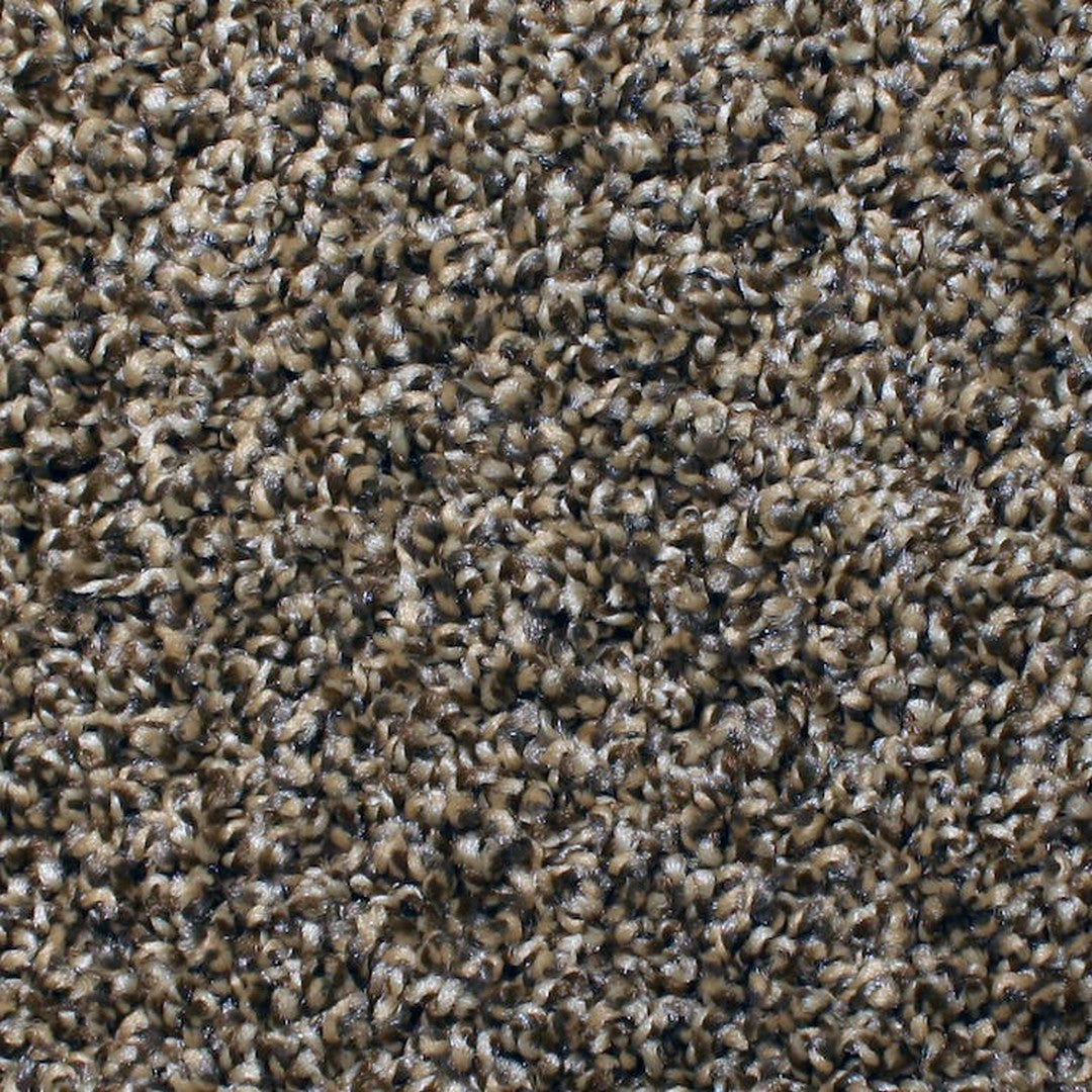 Phenix Microban Chandler Bay 12' Polyester Carpet Tile