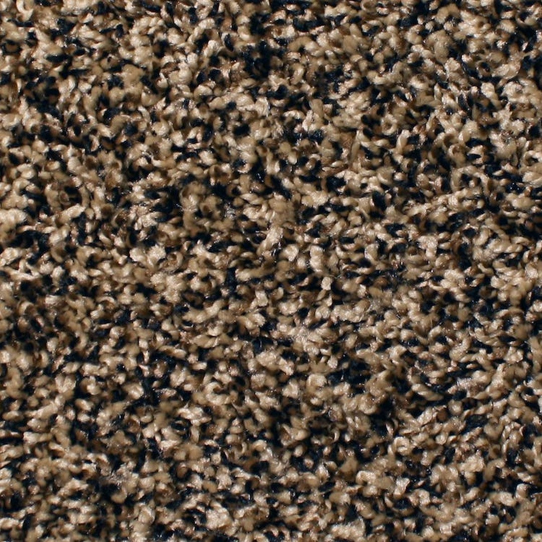 Phenix Microban Chandler Bay 12' Polyester Carpet Tile