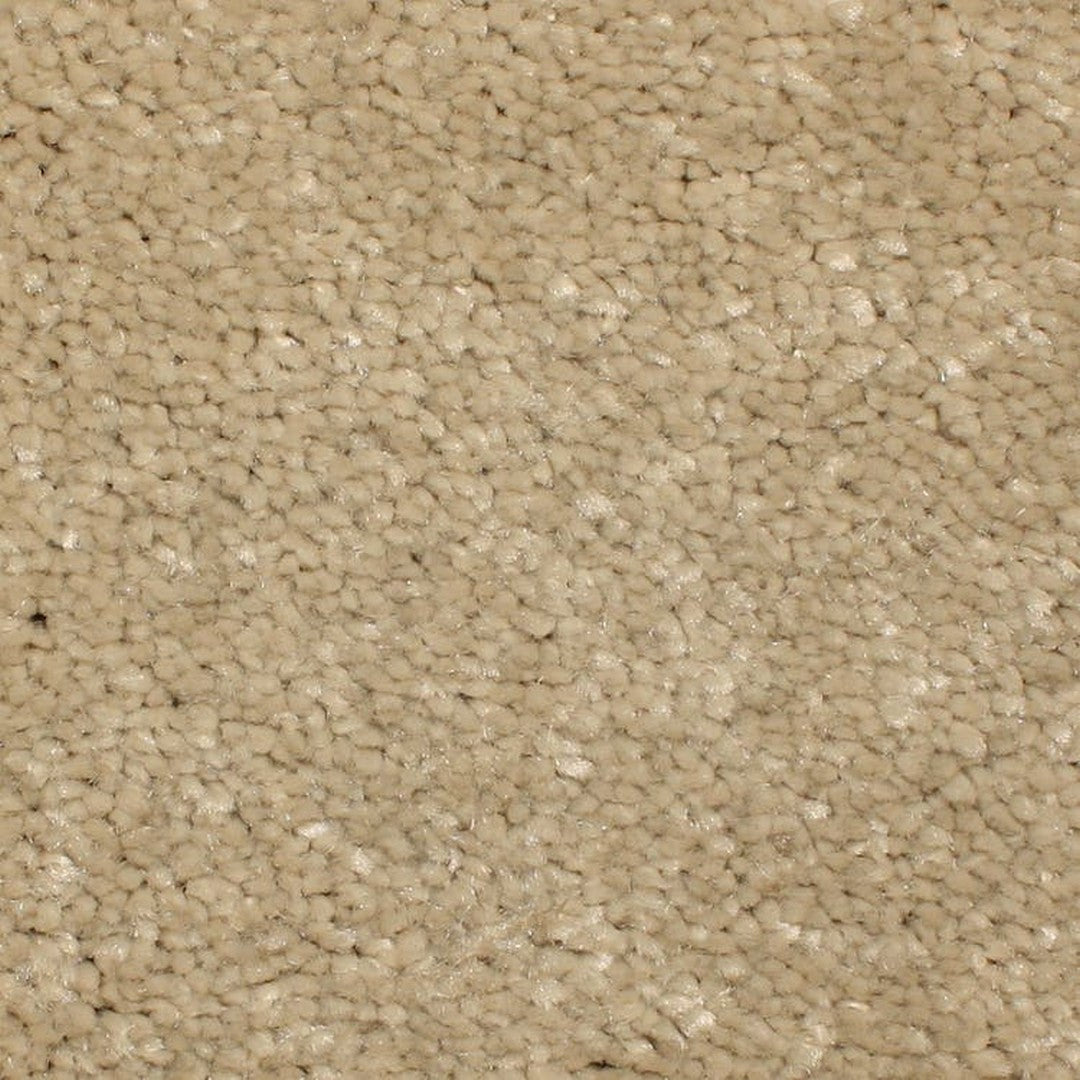 Phenix Microban Panache 12' Polyester Carpet Tile