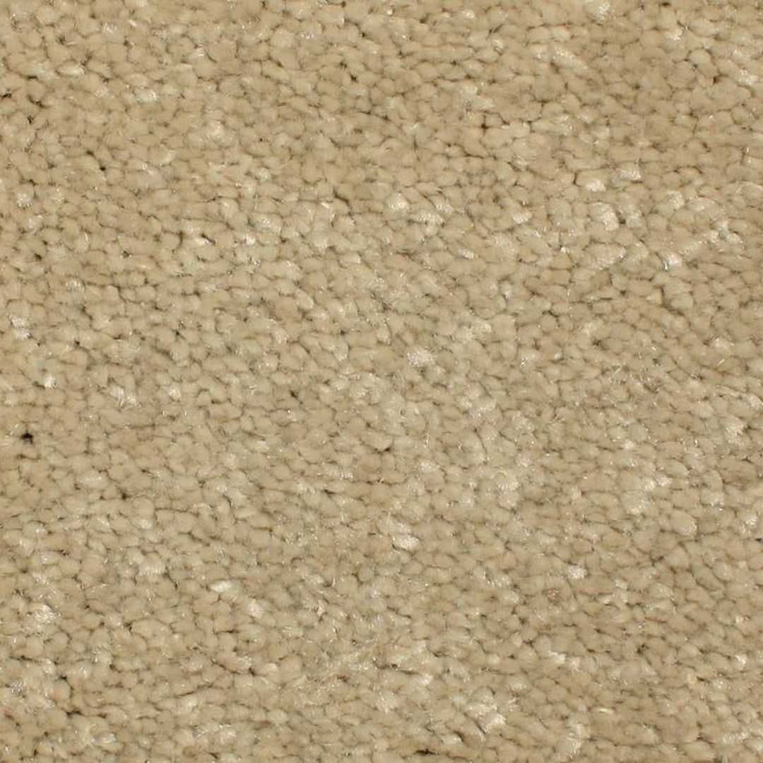 Phenix Microban Cachet 12' Polyester Carpet Tile