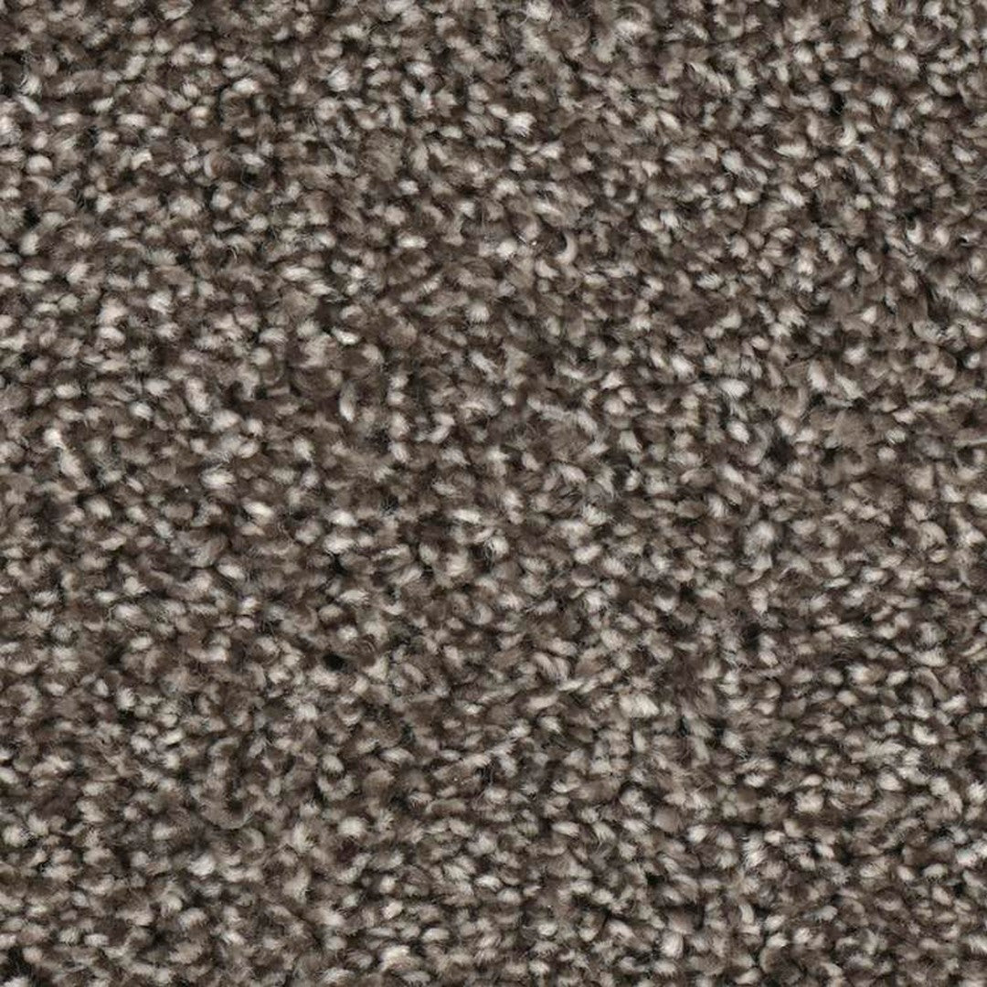 Phenix Microban Medal Winner 12' Polyester Carpet Tile