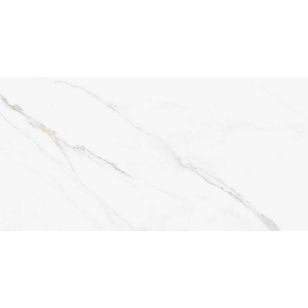 Tesoro Ever 12" x 24" Pressed Matte Porcelain Tile