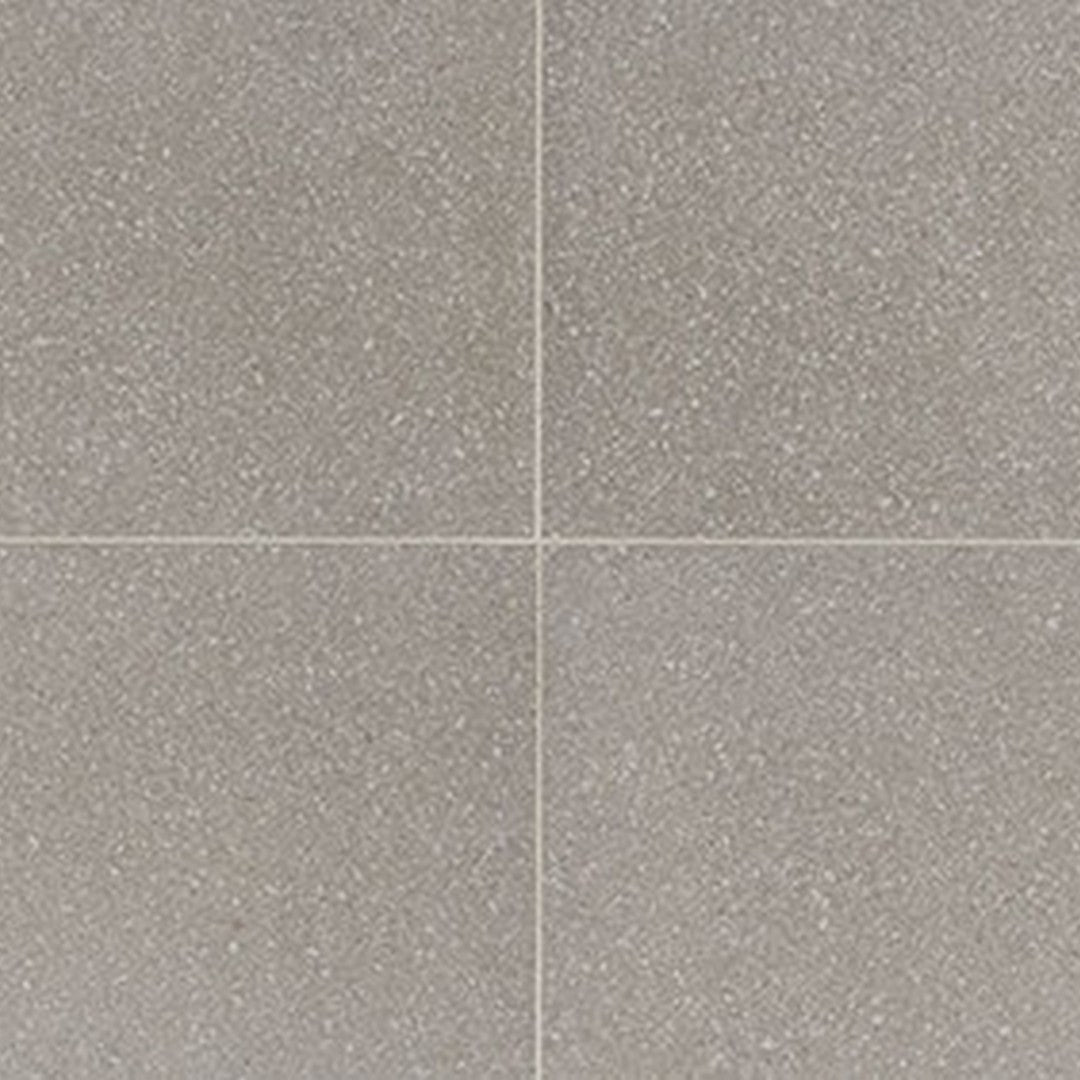 American Olean Neospeck 12" x 24" Light Polished Porcelain Tile