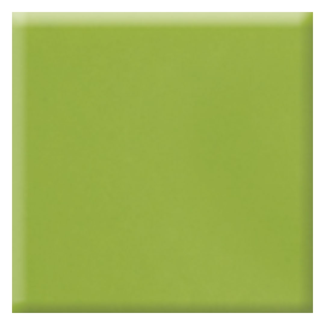 Daltile-Natural-Hues-12-x-12-Matte-Porcelain-Floor-Tile-Kiwi