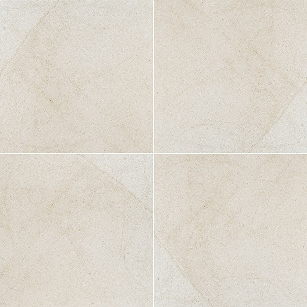 MS International Living Style 24" x 24" Matte Porcelain Tile