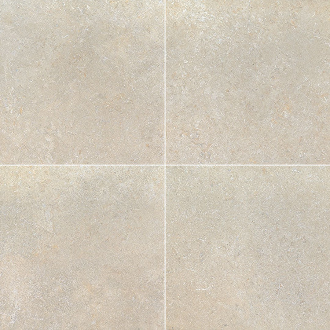 MS International Living Style 24" x 24" Matte Porcelain Tile