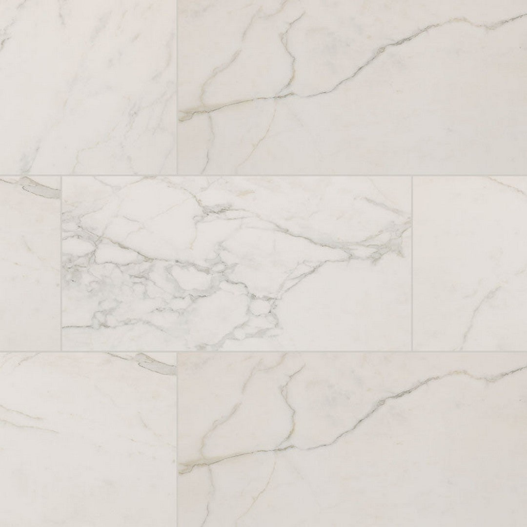 MS International Regallo 24" x 48" Matte Porcelain Tile