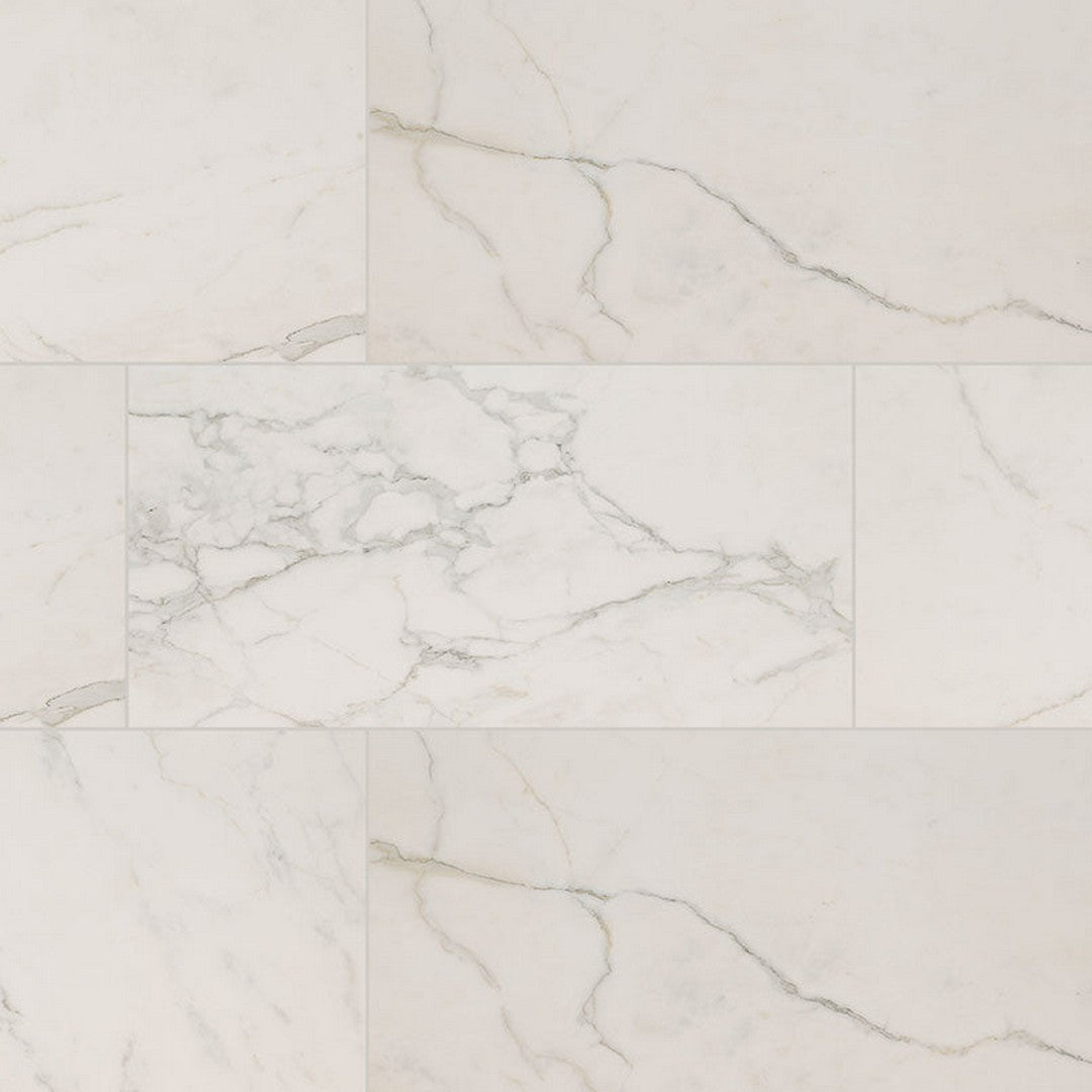 MS International Regallo 24" x 48" Polished Porcelain Tile