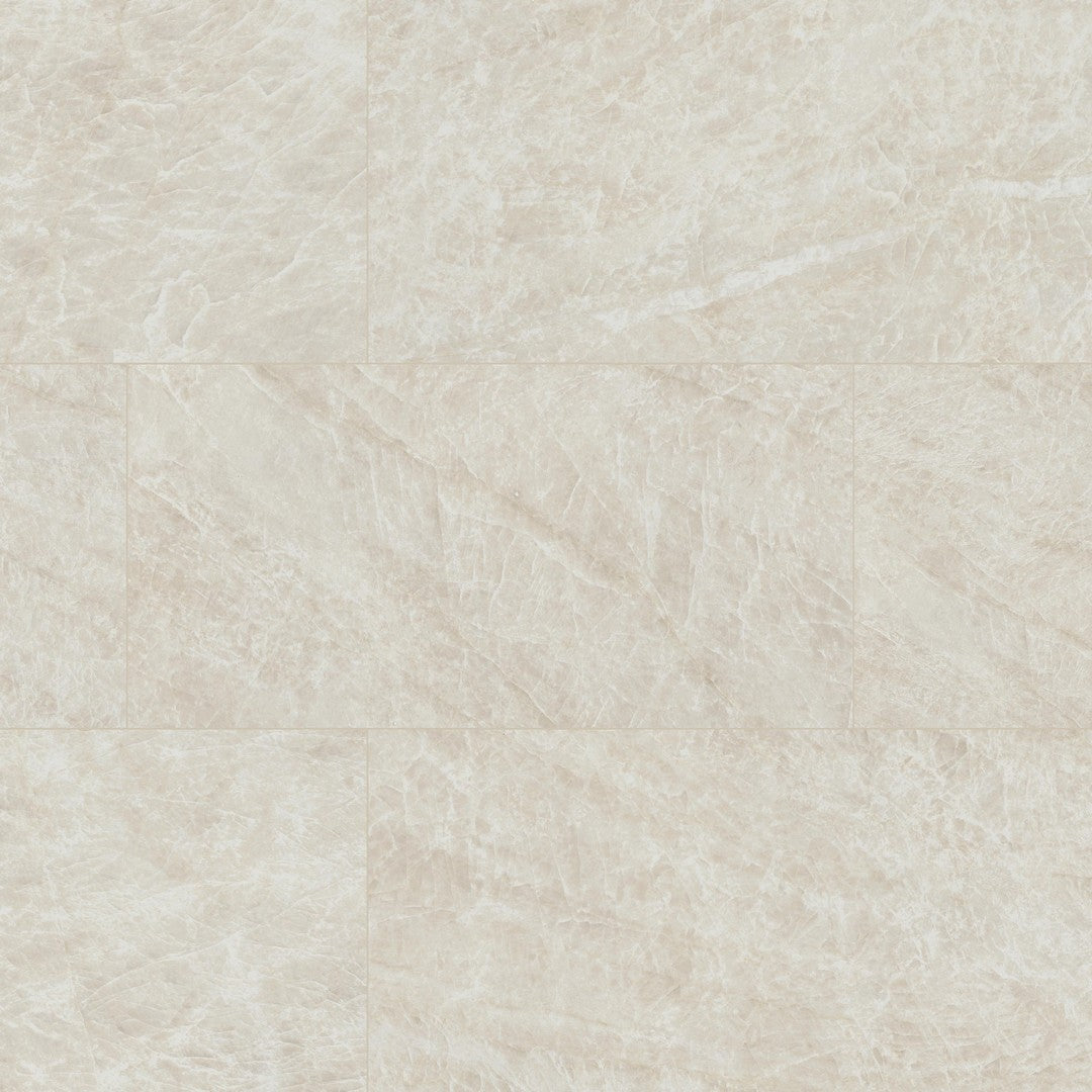 MS International Legions 24" x 48" Matte Porcelain Tile