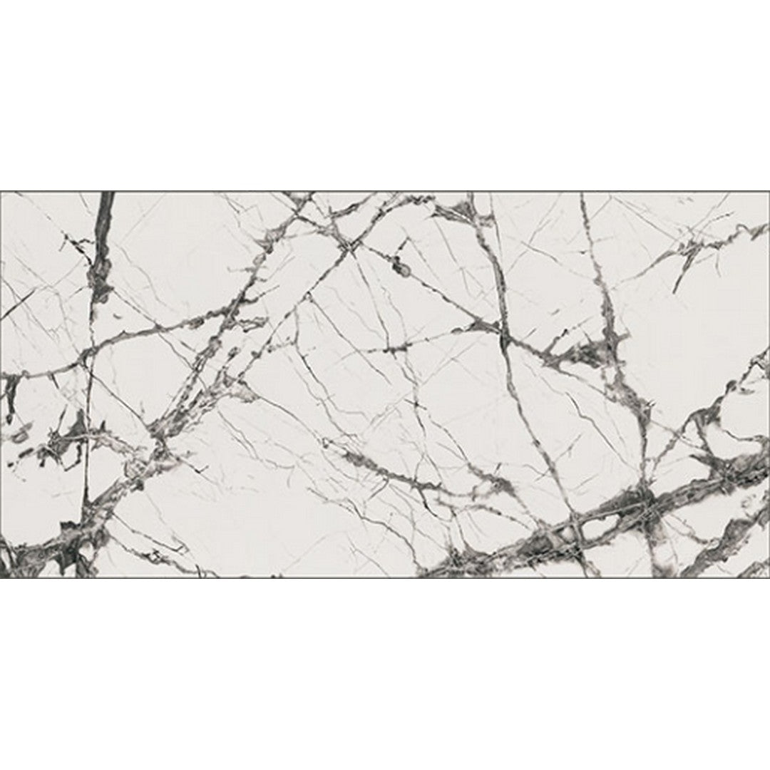 MS International Exotika 24" x 48" Rectified Polished Porcelain Tile