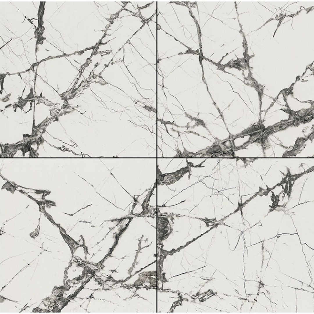 MS International Exotika 48" x 48" Rectified Polished Porcelain Tile