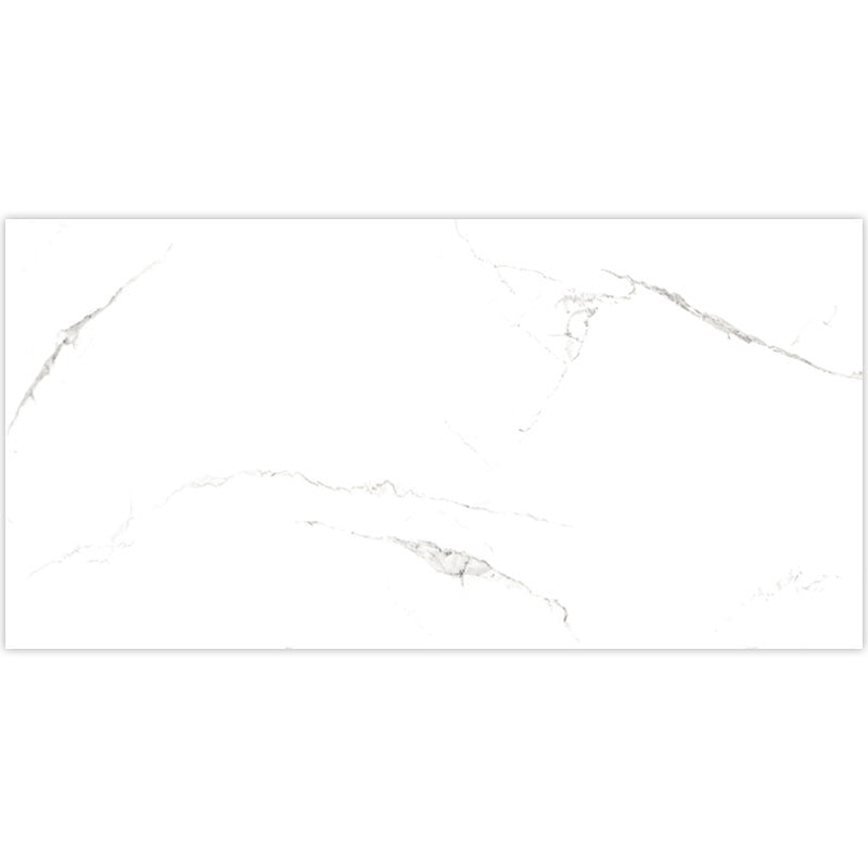 Signature Collection Marmoluna 12" x 24" Rectified Matte Porcelain Tile