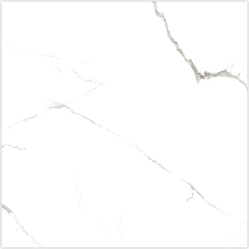 Signature Collection Marmoluna 24" x 24" Rectified Matte Porcelain Tile
