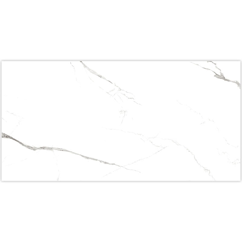 Signature Collection Marmoluna 24" x 48" Rectified Matte Porcelain Tile