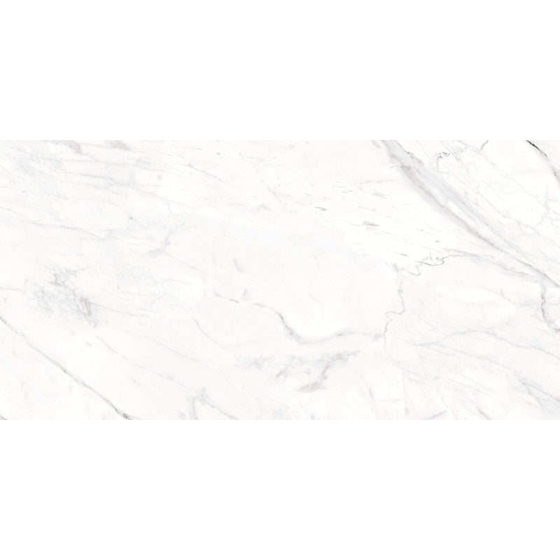 Signature Collection Marmoluna 24" x 48" Rectified Matte Porcelain Tile