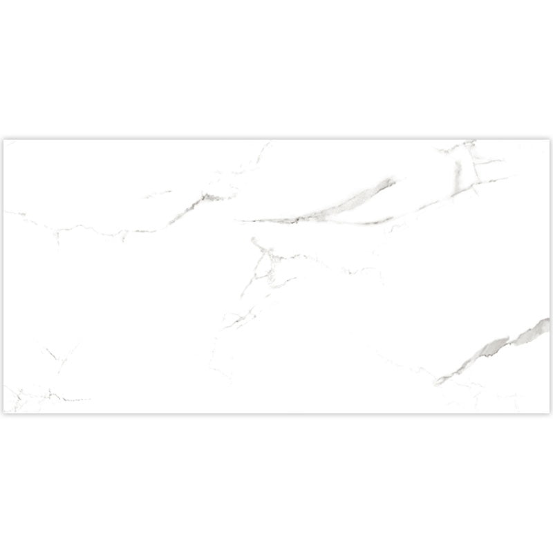 Signature Collection Marmoluna 12" x 24" Rectified Polished Porcelain Tile