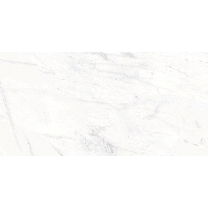 Signature Collection Marmoluna 12" x 24" Rectified Polished Porcelain Tile