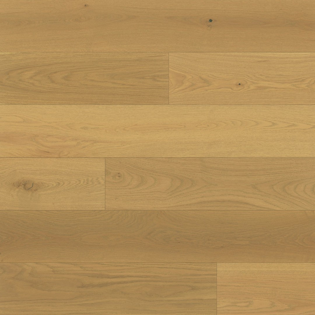 Bedrosians Newport 7.5" x 75" Engineered Hardwood Plank (Sale)