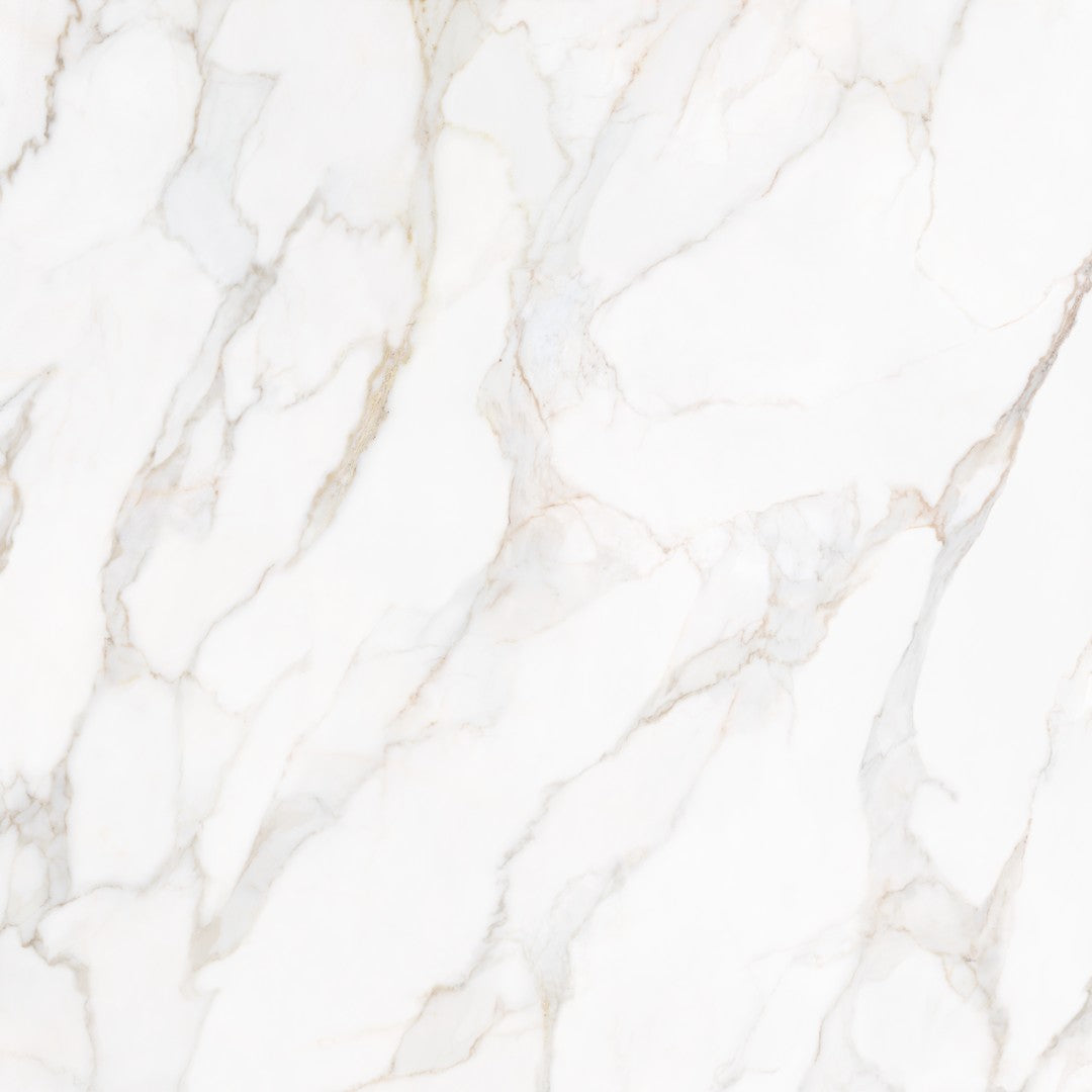 Tesoro Paonazzo 36" x 36" Rectified Polished Porcelain Tile