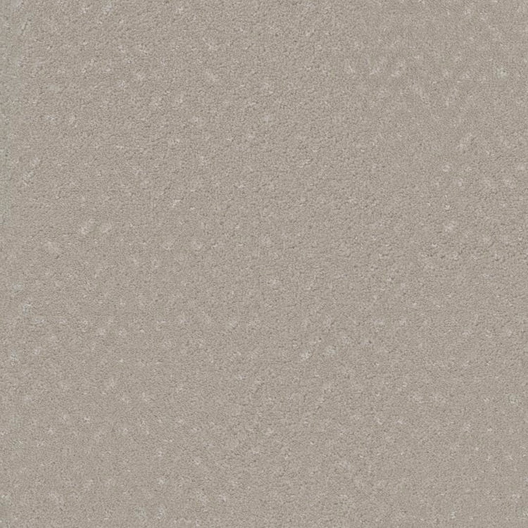 Phenix_Floor_Ever_Pet_Plus_12_Impression_Carpet_Tile_Etch