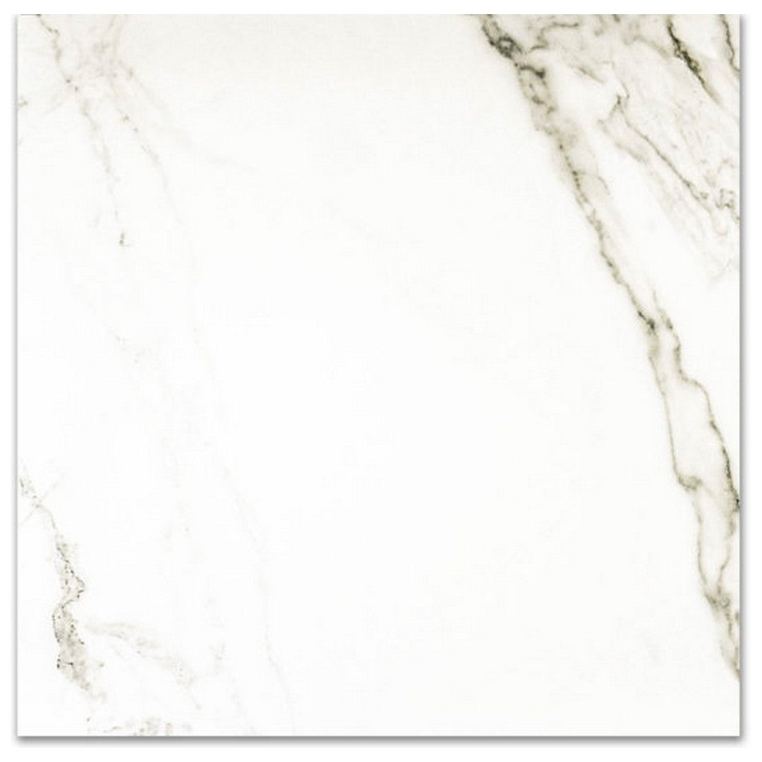 Qualis Ceramica Ardor 24" x 24" Rectified Polished Porcelain Tile