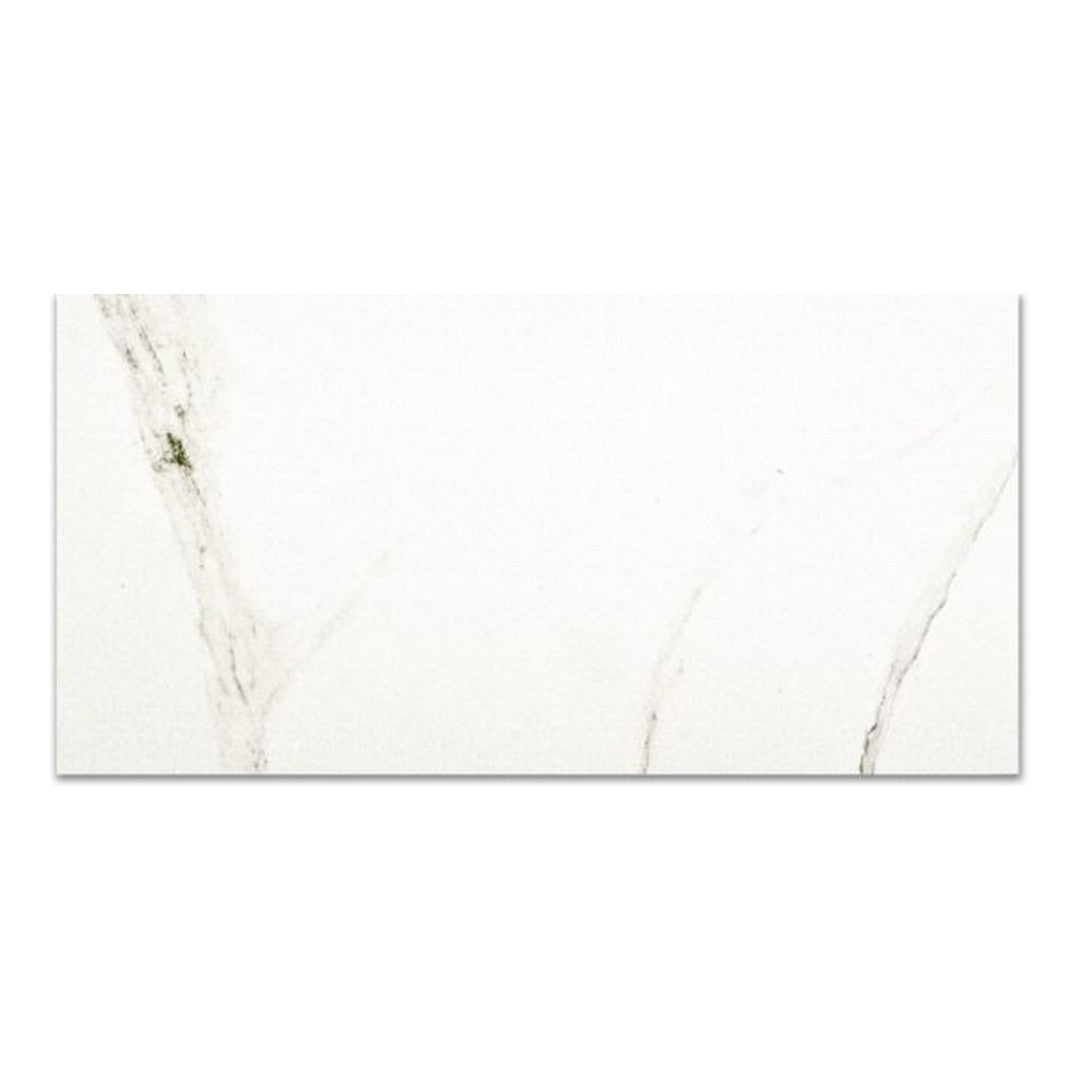 Qualis Ceramica Ardor 24" x 48" Rectified Polished Porcelain Tile