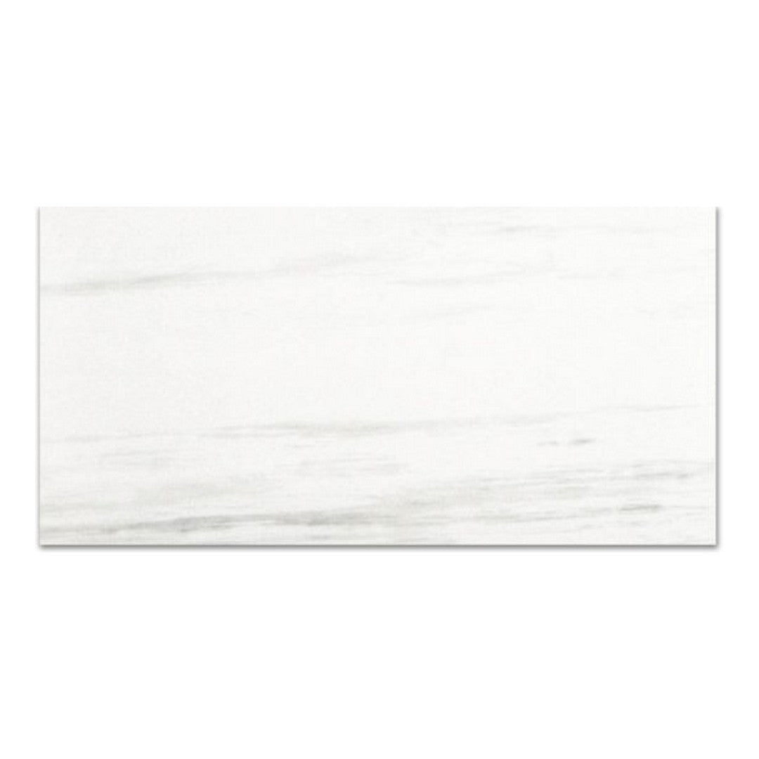 Qualis Ceramica Ardor 12" x 24" Rectified Polished Porcelain Tile