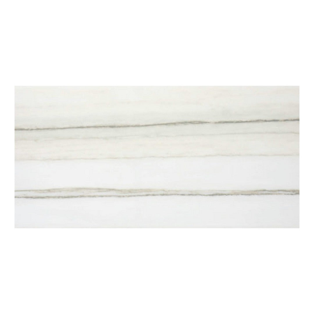 Qualis Ceramica Ardor 12" x 24" Rectified Polished Porcelain Tile