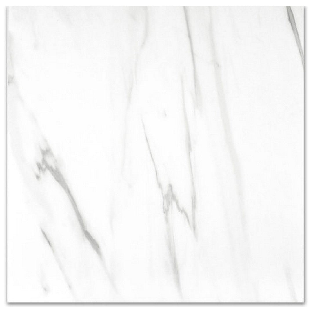 Qualis Ceramica Ardor 24" x 24" Rectified Matte Porcelain Tile