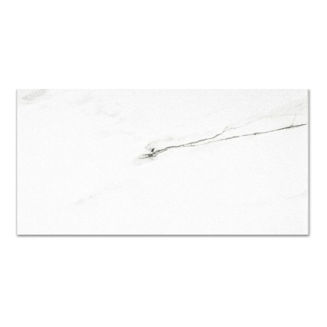 Qualis Ceramica Ardor 16" x 32" Rectified Matte Porcelain Tile