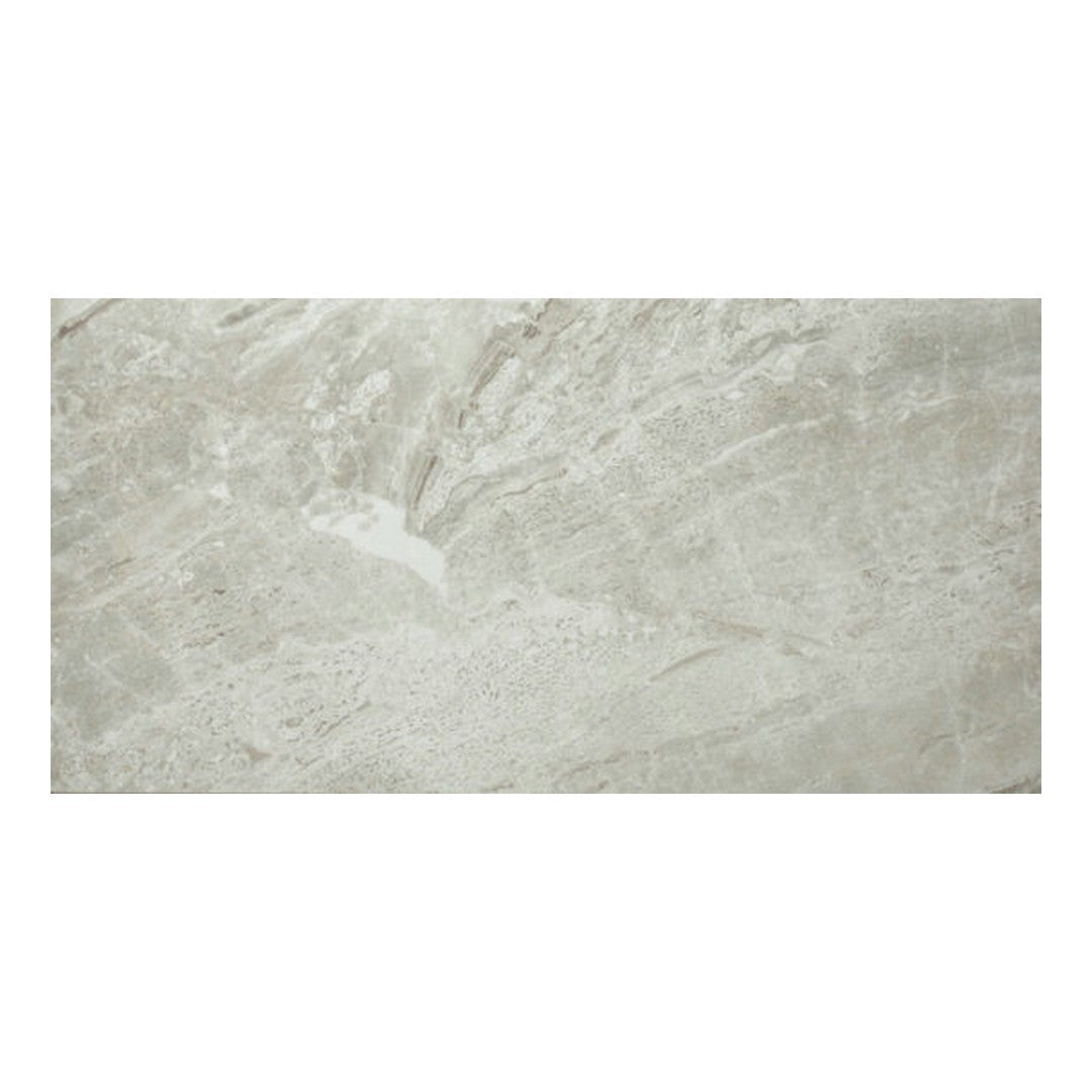 Qualis Ceramica Ardor 12" x 24" Rectified Polished Porcelain Tile