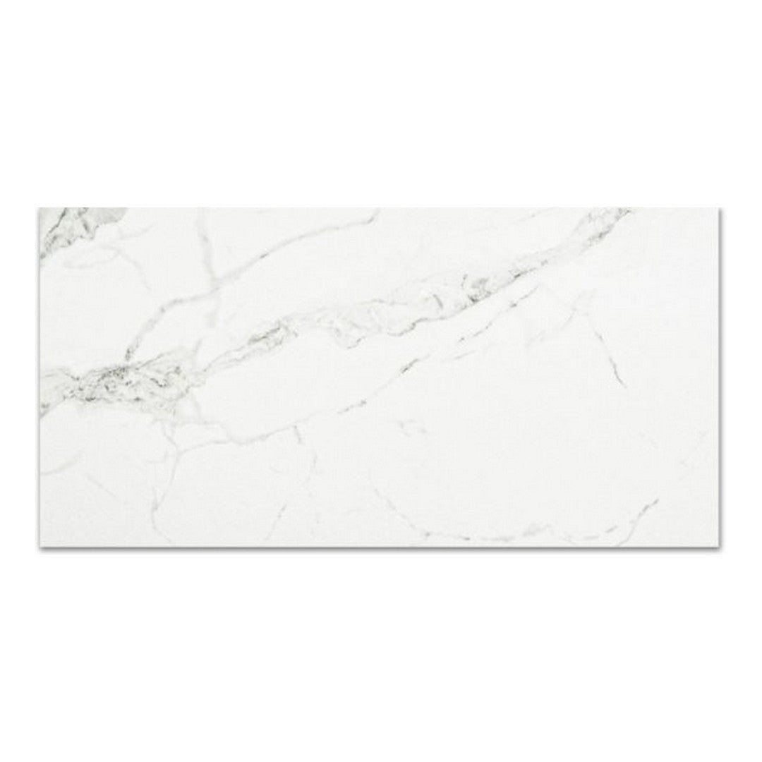 Qualis Ceramica Ardor 12" x 24" Rectified Polished Porcelain Tile