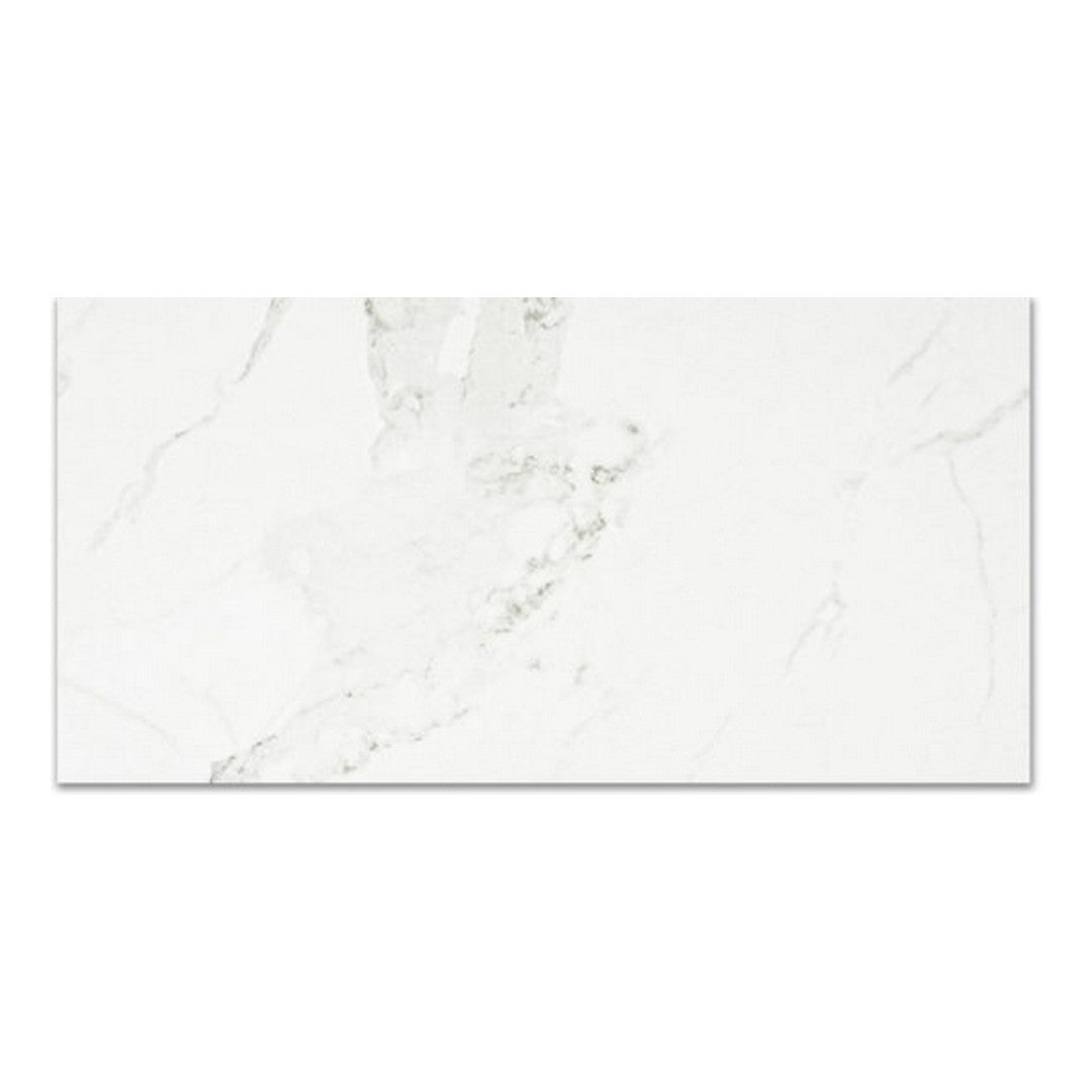 QC Ardor 24" x 48" Rectified Polished Porcelain Tile