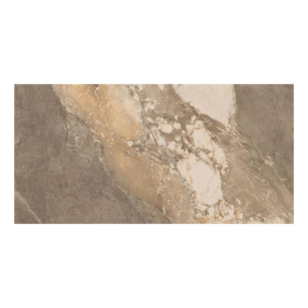 Qualis Ceramica Dynasty 24" x 48" Rectified Porcelain Tile